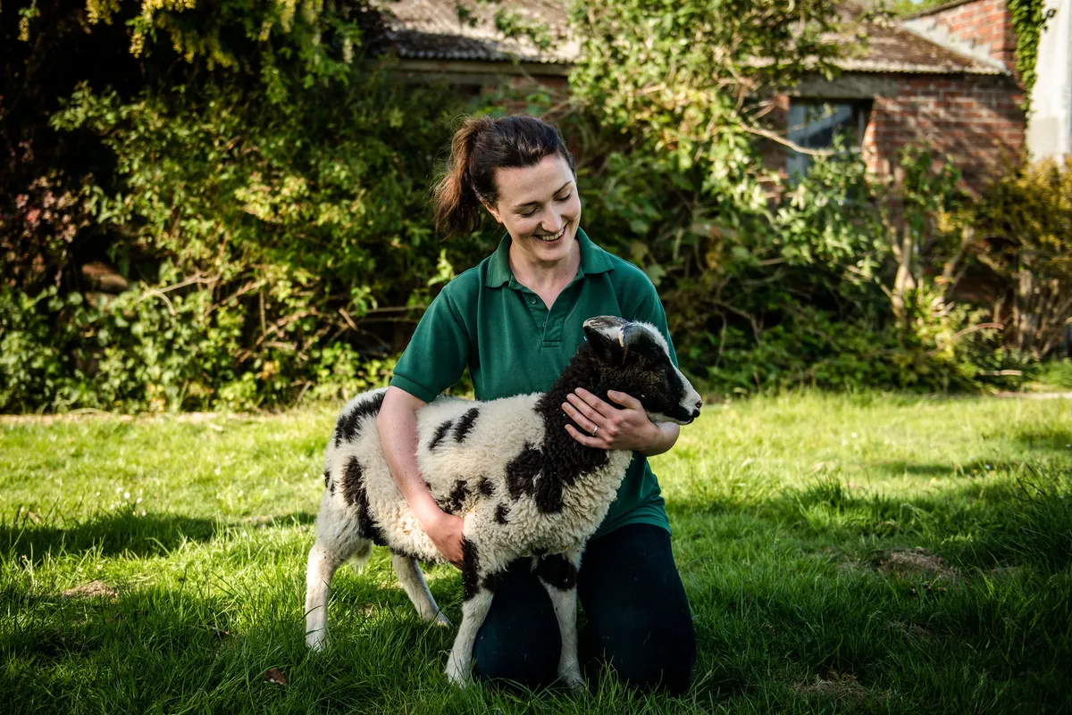 Programme Name: Mountain Vets S2 - TX: n/a - Episode: Mountain Vets S2 ep5 (No. 5) - Picture Shows: Vet Jennie McMullan - (C) Rare TV - Photographer: William Kelly