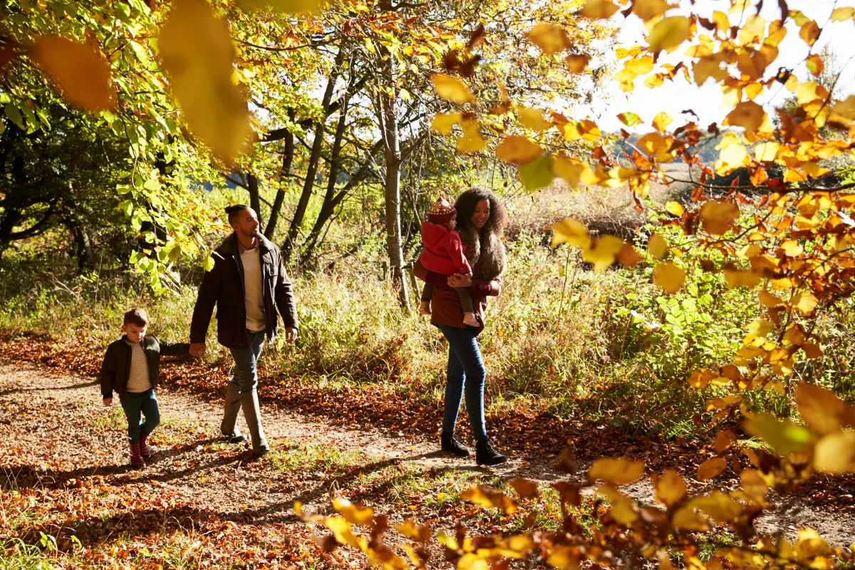 Family on an autumn walk in woodland