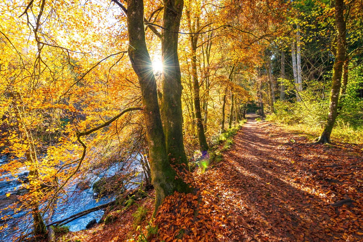 Beautiful Scottish riverside footpath in autumn