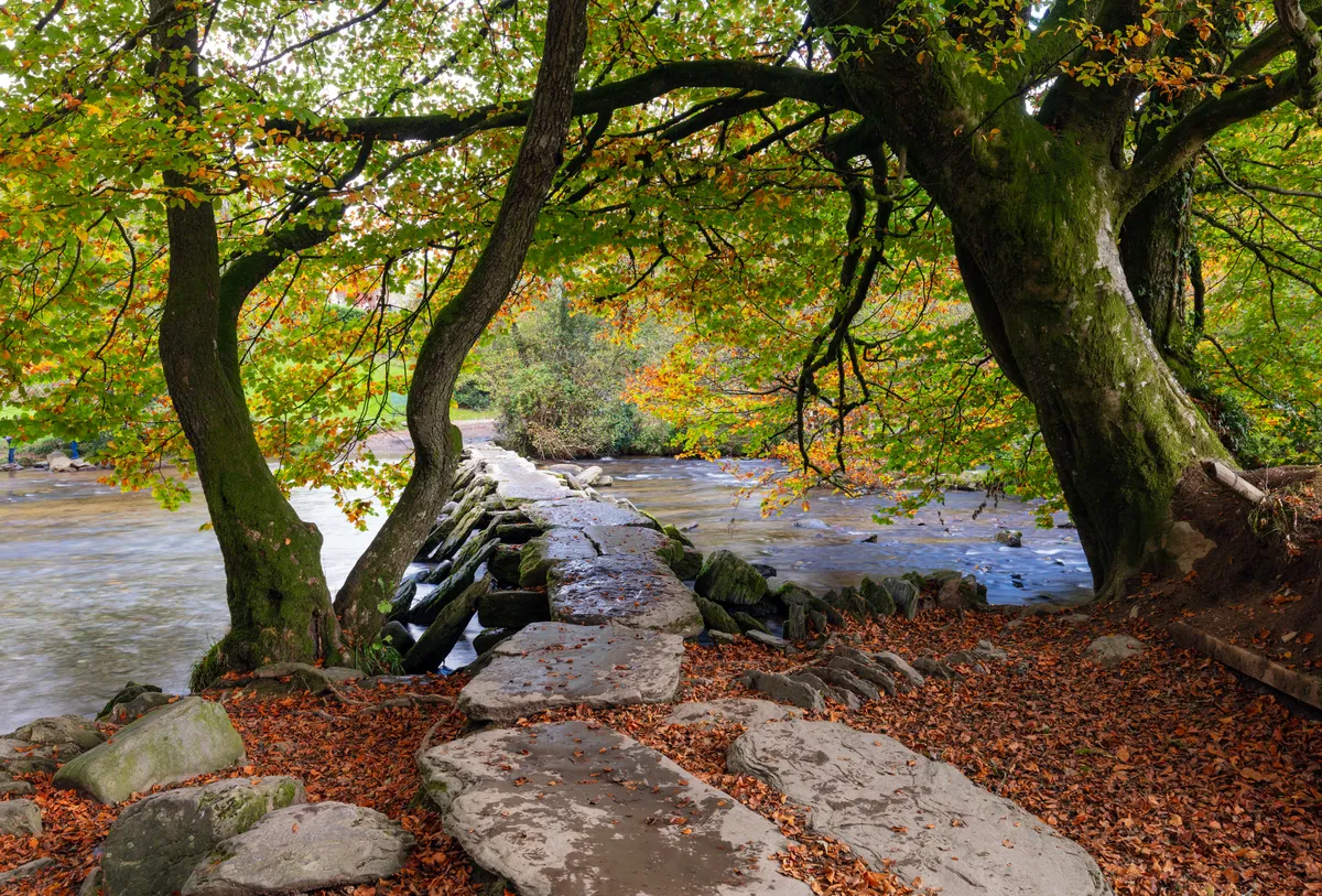 Autumn colours along the River Barle at Tarr Steps, Somerset