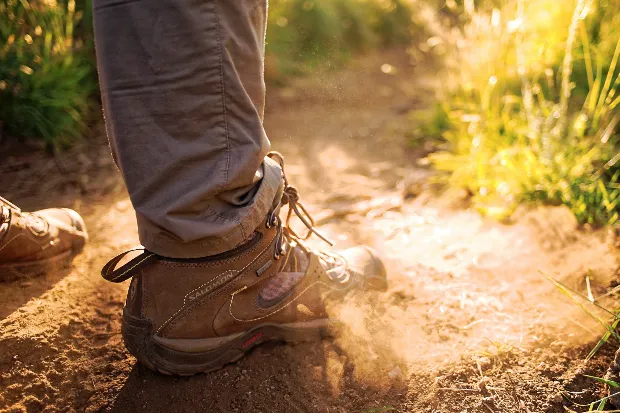 The best walking socks in 2024 for all hiking conditions