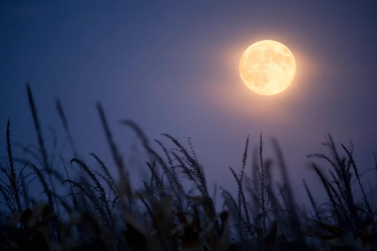 Harvest moon, Getty Images
