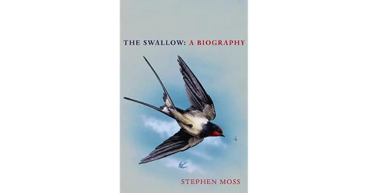 The Swallow: A Biography