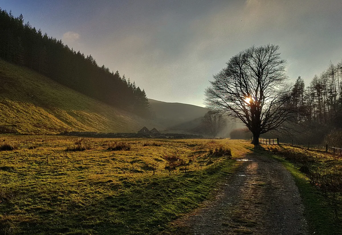 Elibank and Traquair Forest with low sun