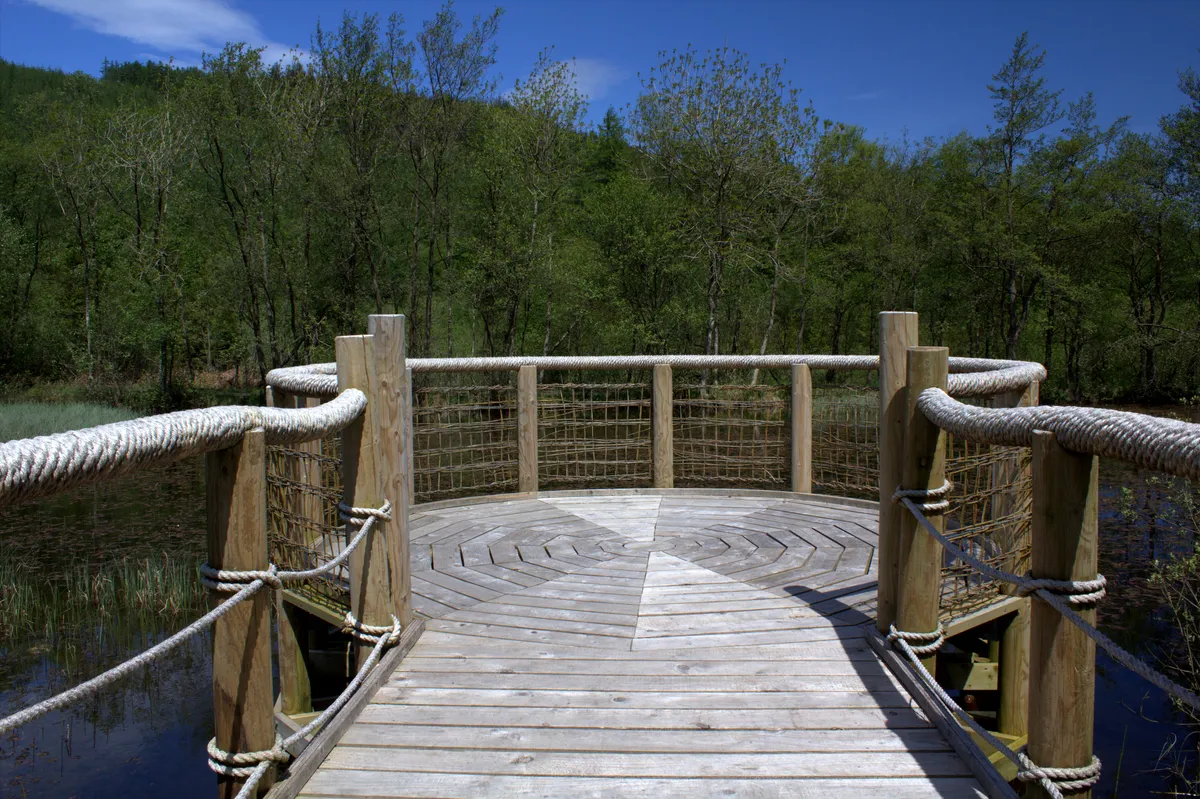Viewing platform over a lake at Mabie Forest, Dumfries and Galloway, Scotland.