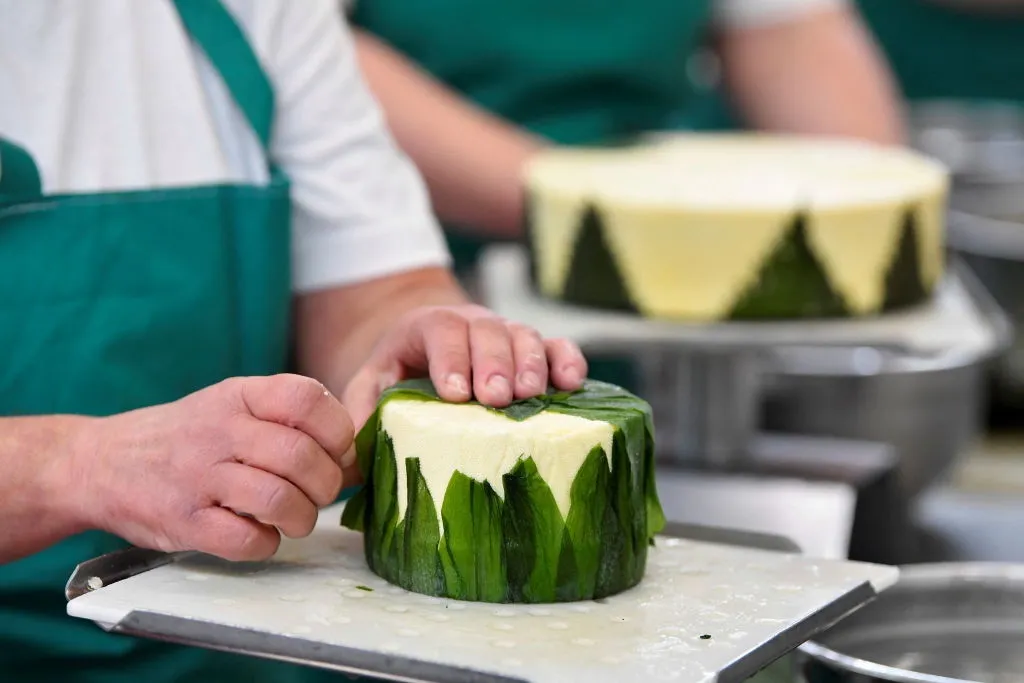 A cheesemaker wraps Cornish yearg in nettle leaves