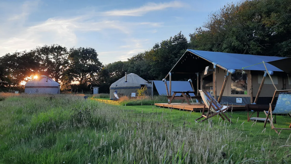 Safari and yurts
