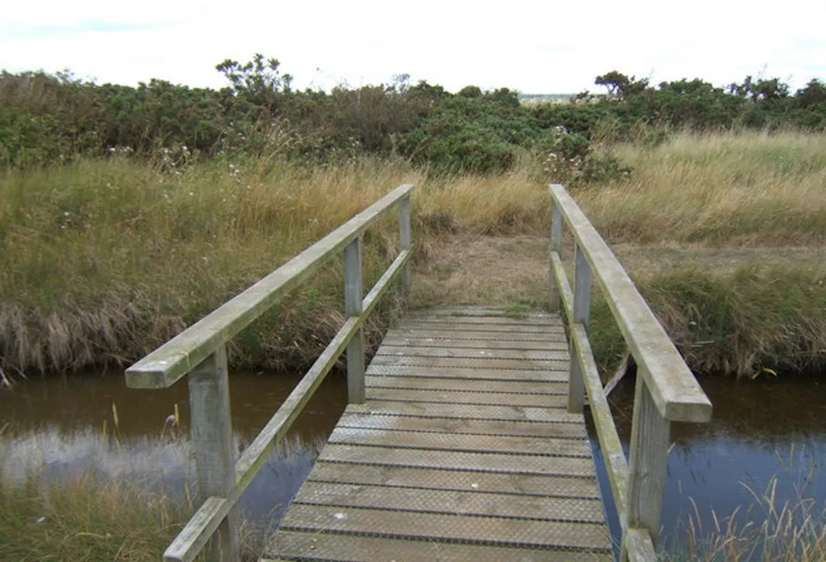 Footbridge on island