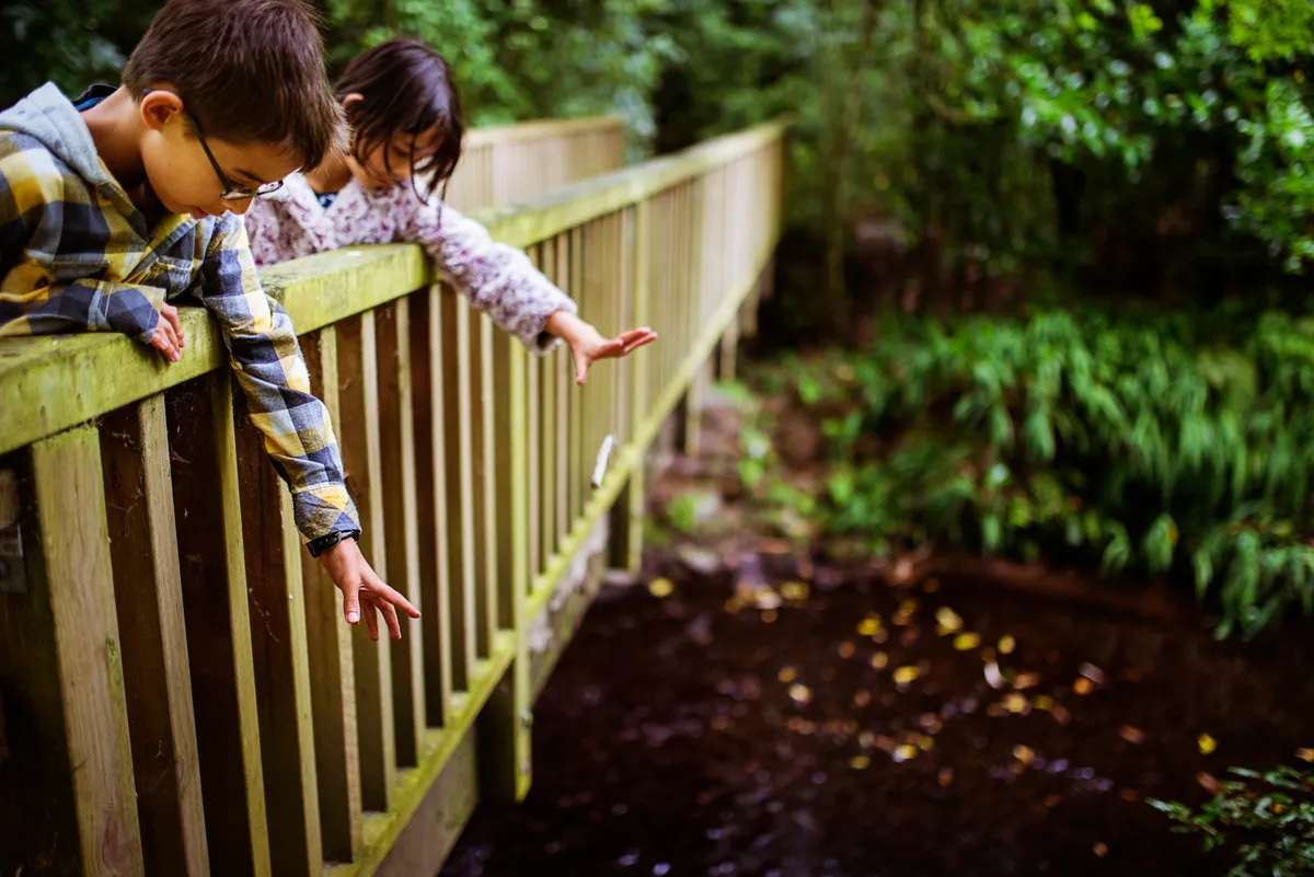 Children playing on a bridge