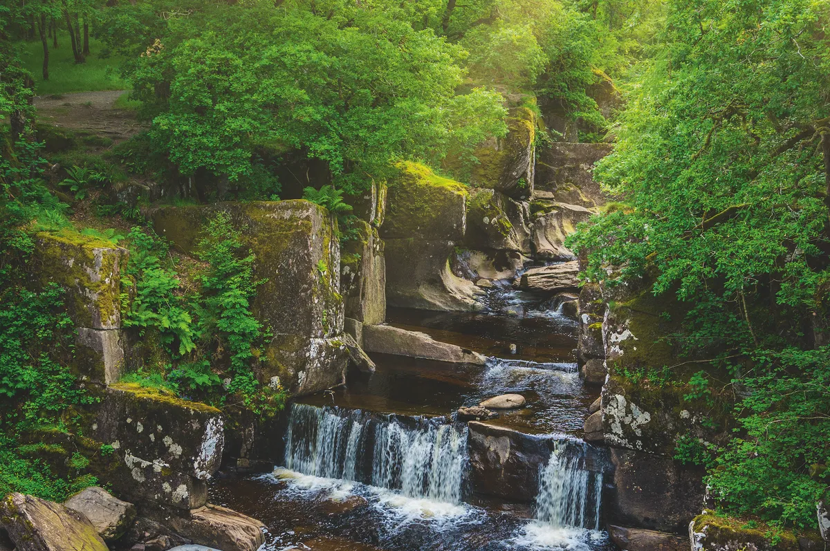 Waterfalls in woods