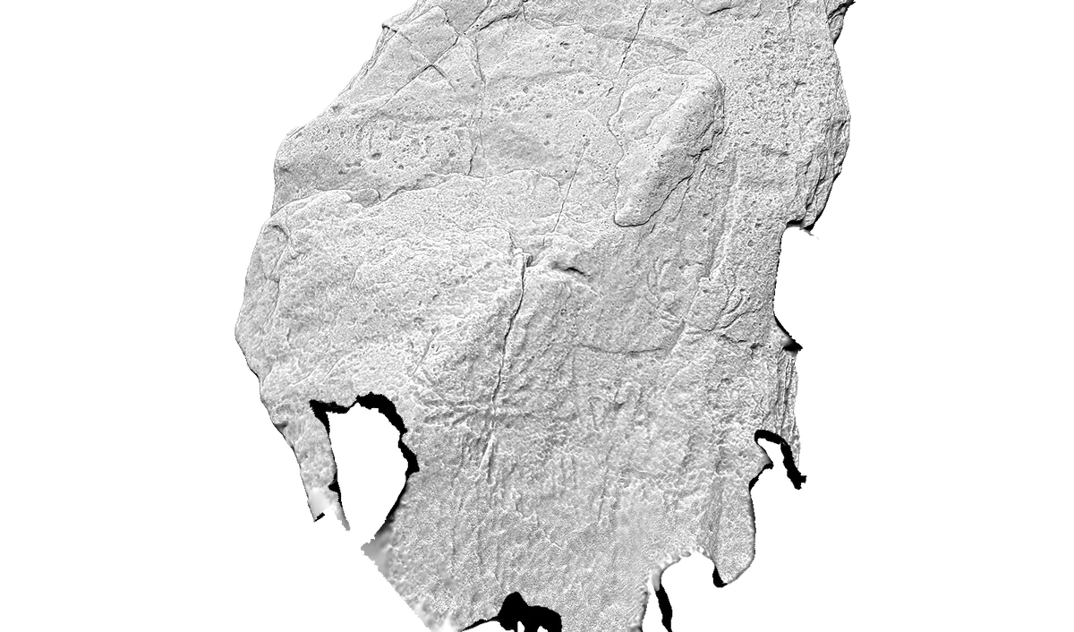 A computer rendering of the animal carvings at Dunchraigaig Cairn.