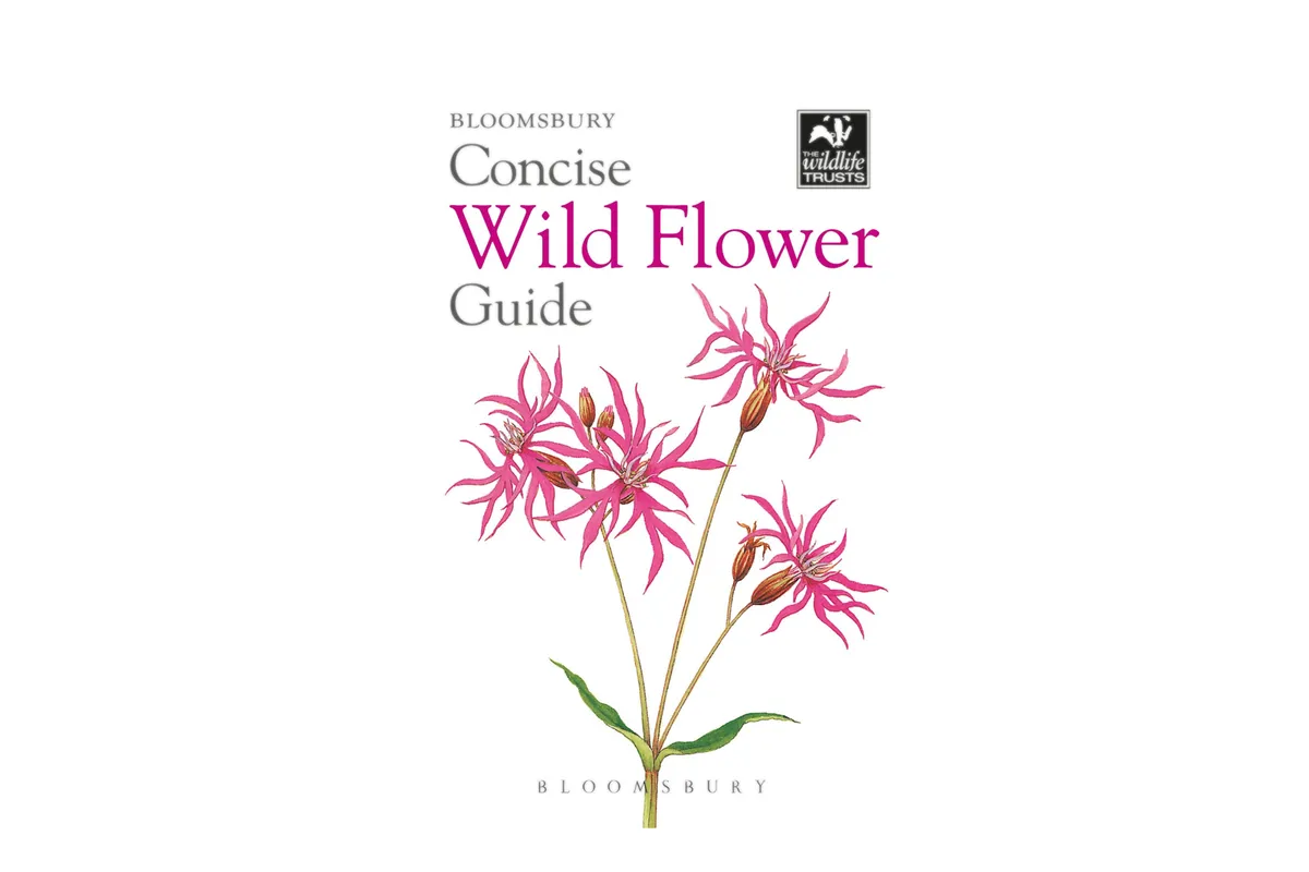 Best Wildflower Identification Books