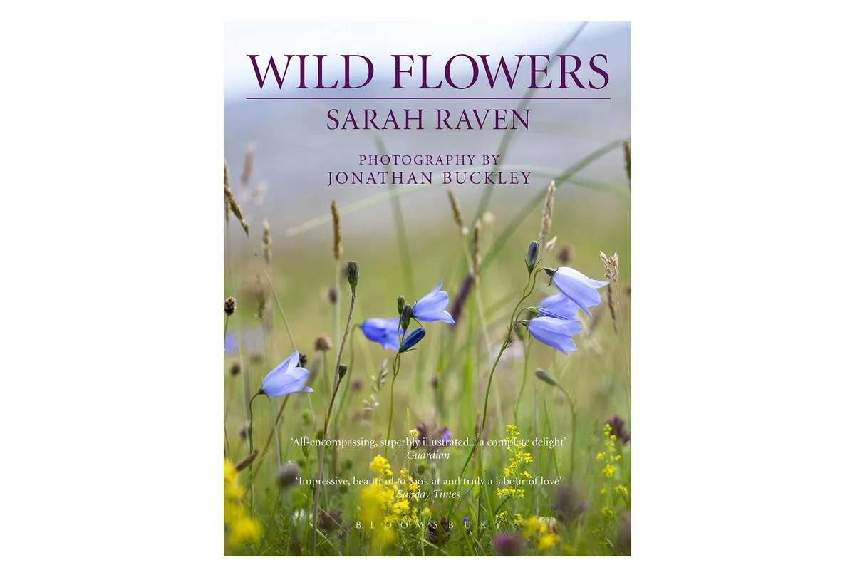 Sarah Raven Wild Flowers