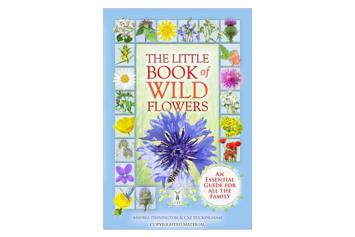 The Little Book of Wild Flowers