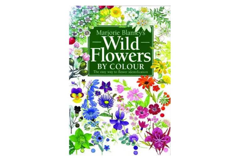Wild Flowers by Colour by Marjorie Blamey
