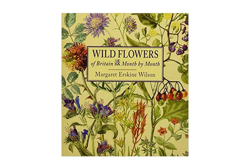 Wild Flowers of Britain Month by Month