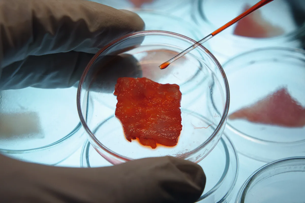 Lab Grown Meat Lab How ready are we for lab-grown meat? | Countryfile.com