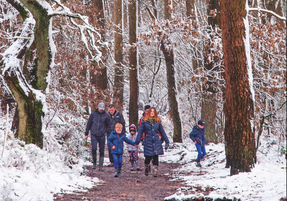 family walking through a snowy woodland