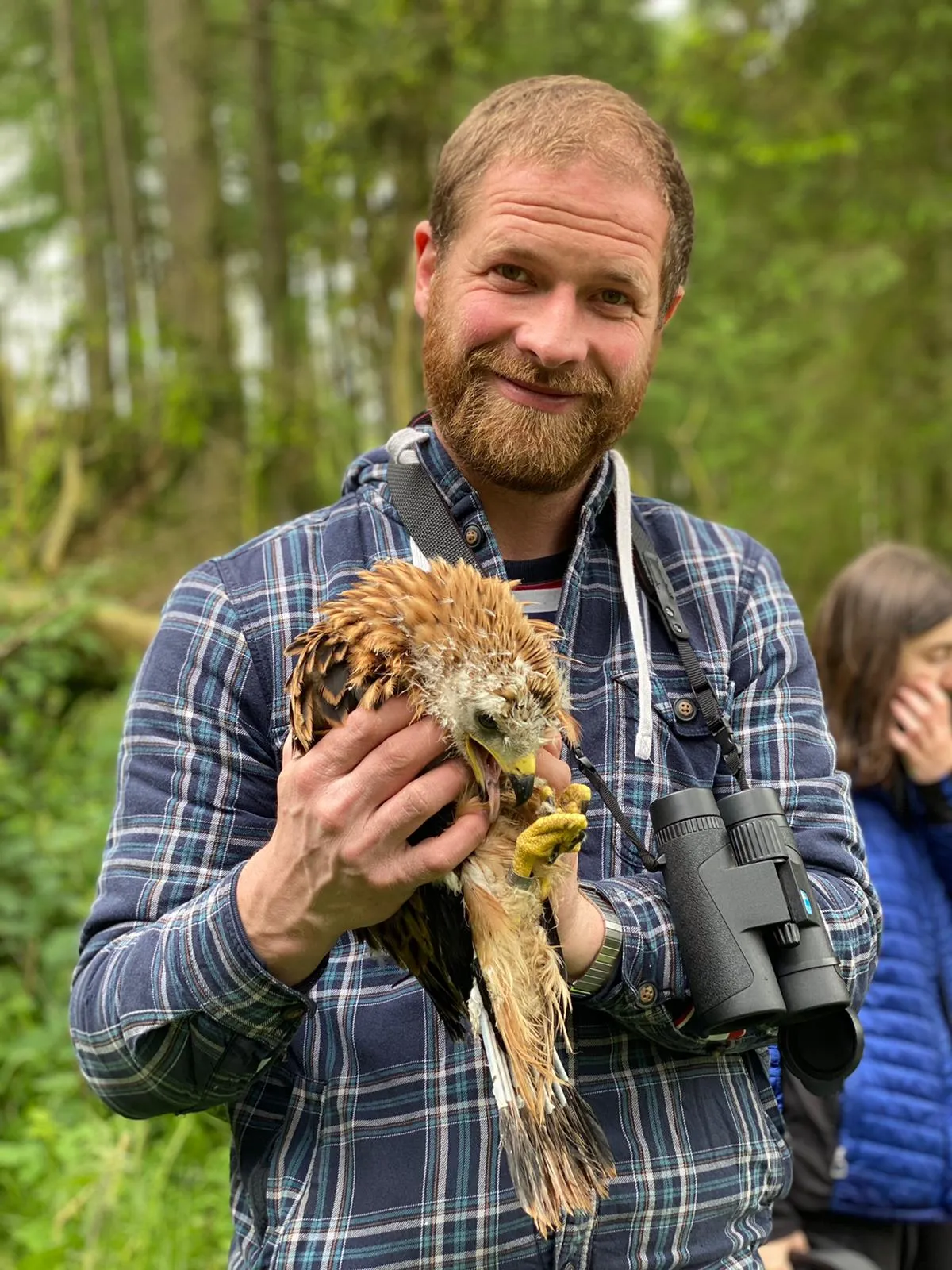 Tom Bowser holding a fluffy red kite chick