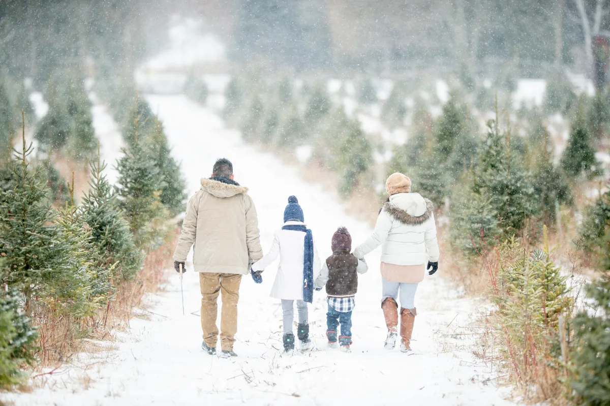 Family walking through snow