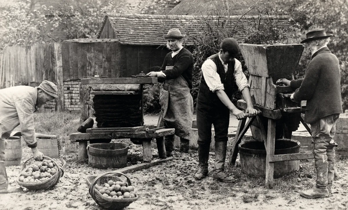 A vintage postcard featuring a group of men making cider in Gloucestershire, circa 1920/Credit: Paul Popper/Popperfoto/Getty.