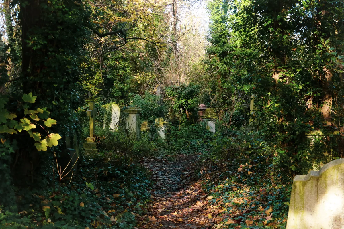 Old and abandoned monuments and graves in Abney Park Cemetery in Autumn