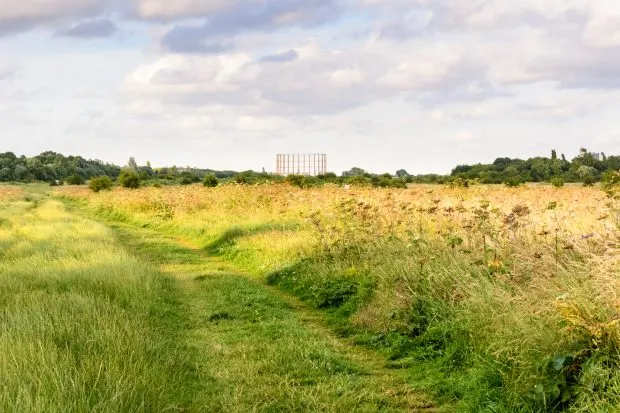 A disused gasometer rises above trees and scrubland in Wormwood Scrubs park in west London