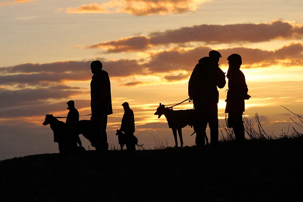 Silhouettes of men in tweed coats and flat caps with greyhound dogs awaiting a hare coursing race
