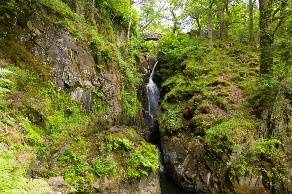 Aira Force waterfall in green forest