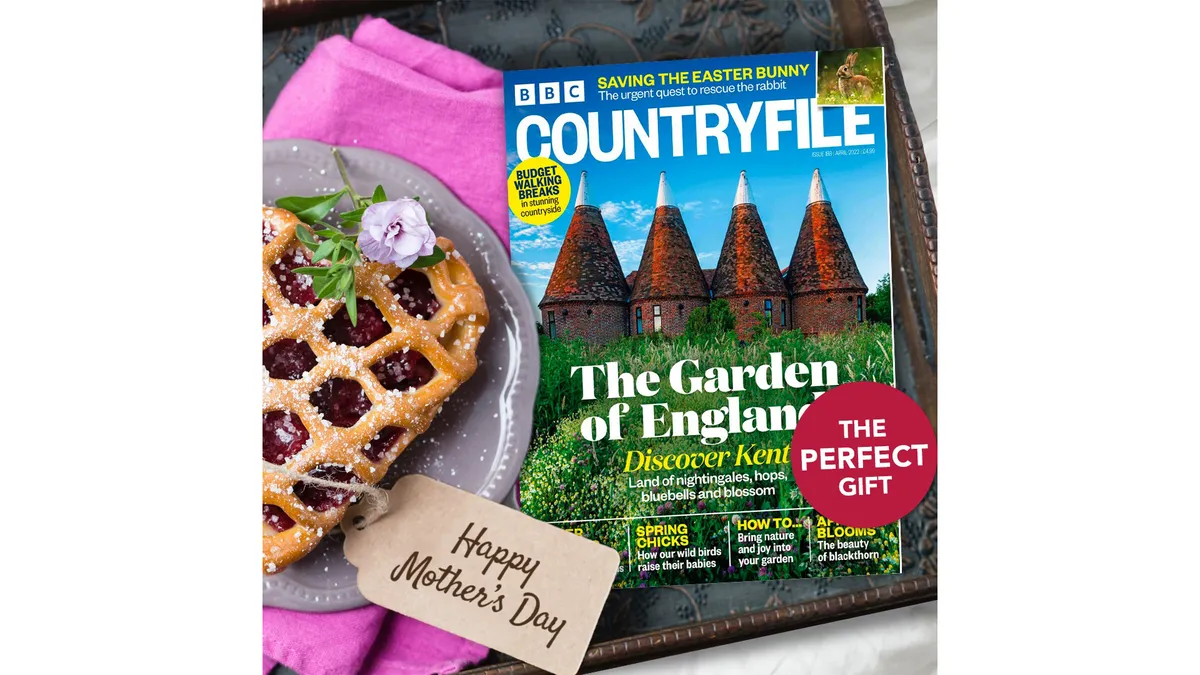 Countryfile magazine on blanket with food