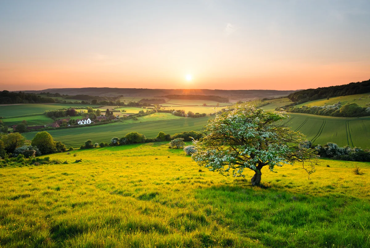 Guide to Kent: where to stay and eat, places to visit and best walks ...