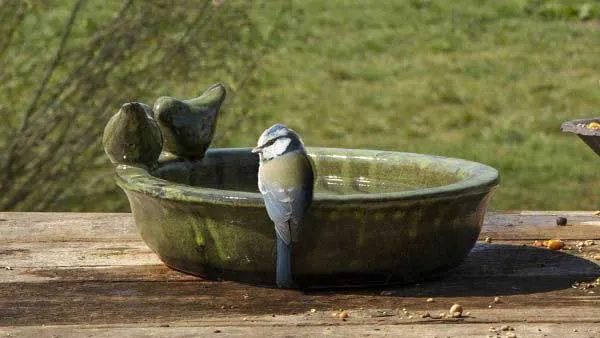 National Trust Round Terracotta Bird Bath with bird in a garden