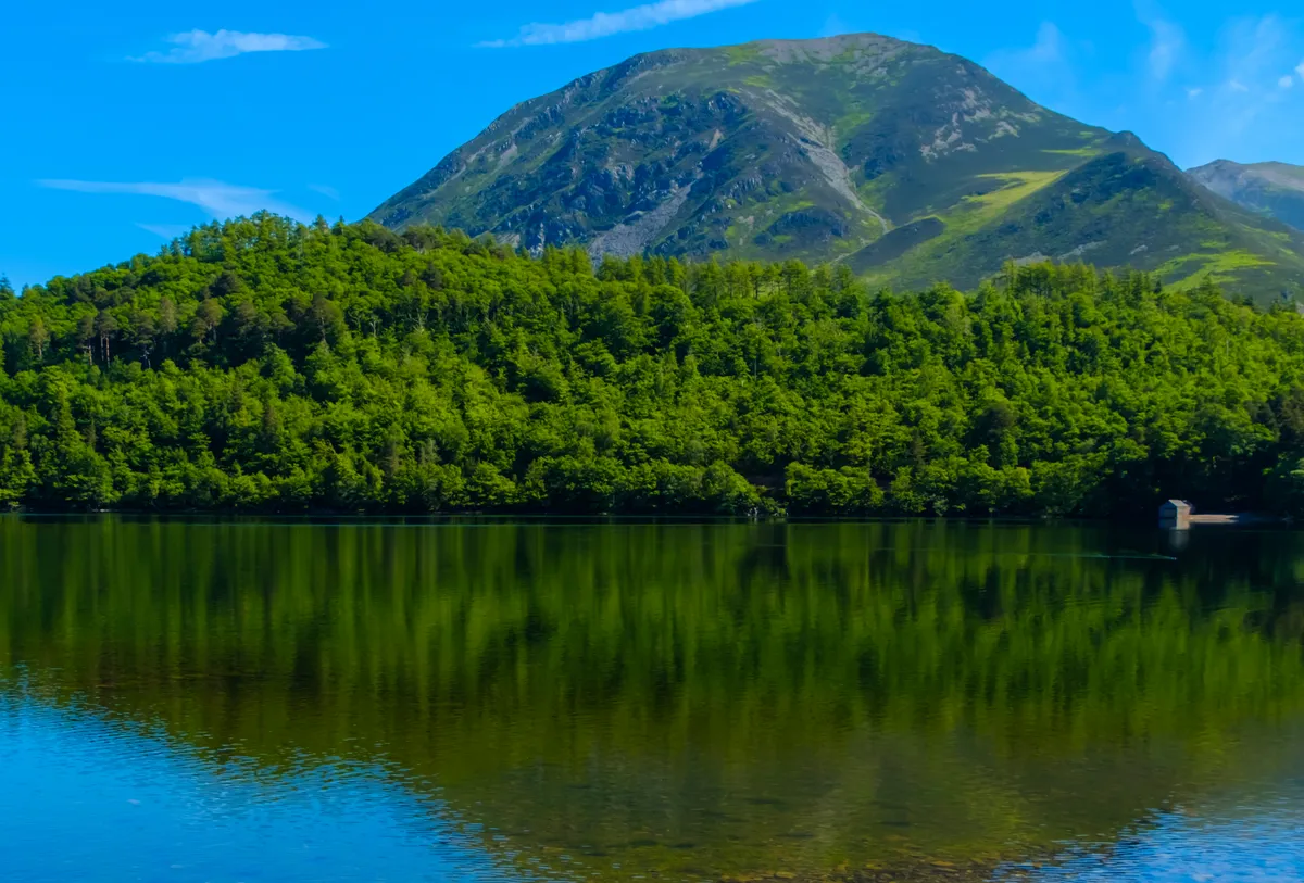 Lake and trees and mountain at Loweswater