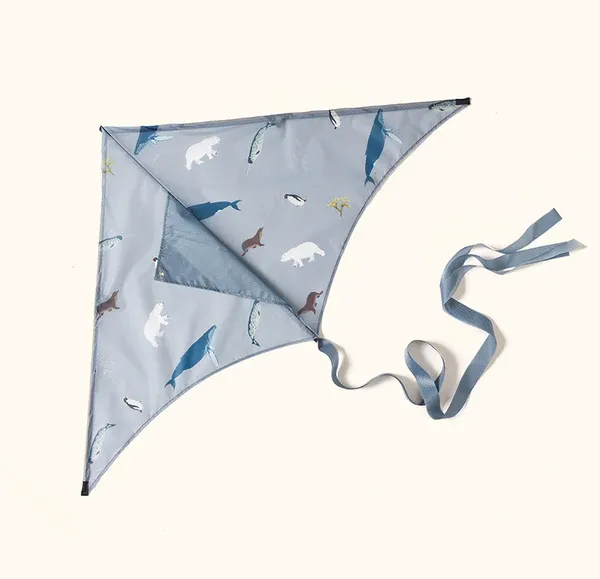 Sustainable beach kite