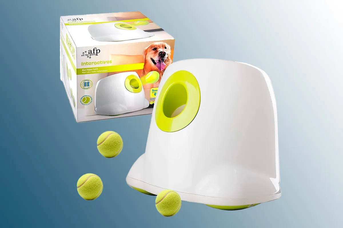 iFetch Too vs. PetSafe Ball Launcher: Which Automatic Dog Ball Thrower Is  Better?