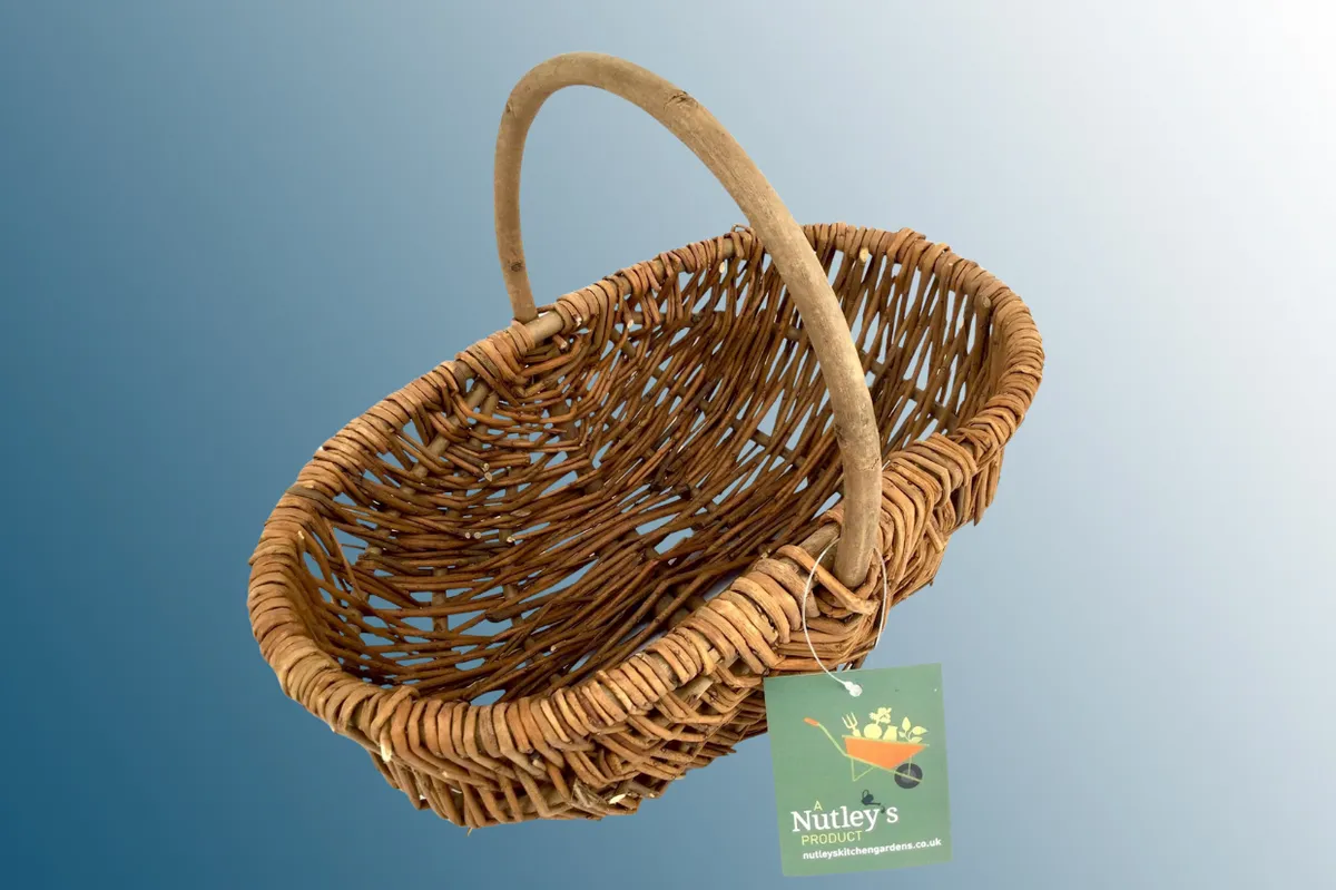 Vegetable basket  