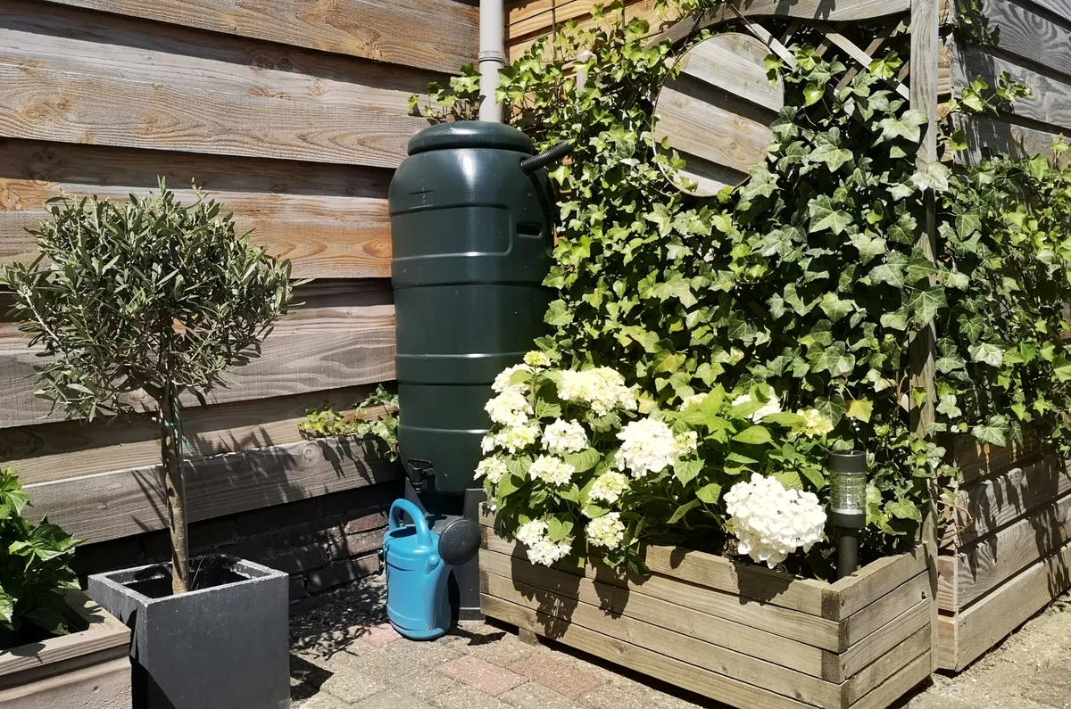 A green rain barrel with a blue watering can in a beautiful botanical garden
