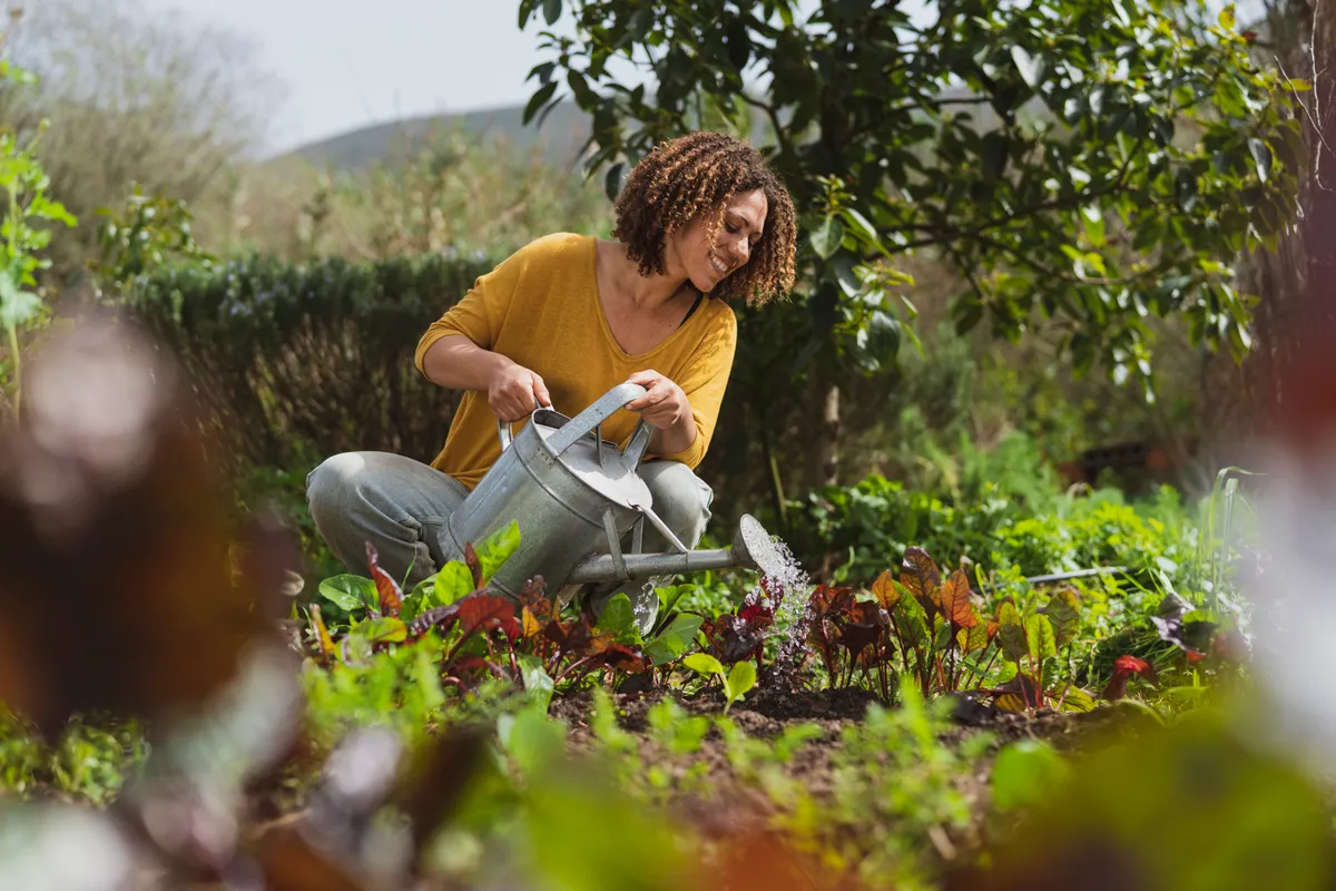 Smiling woman watering plants in permaculture garden