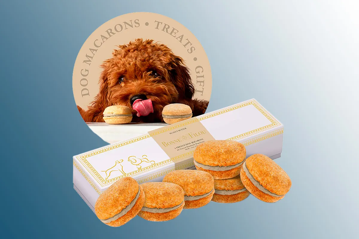 Dog Macarons Gift Treats