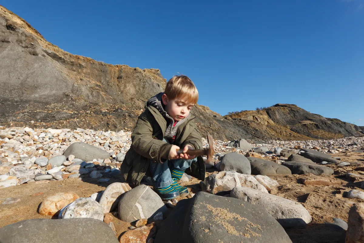 Charmouth is a great place for fossils