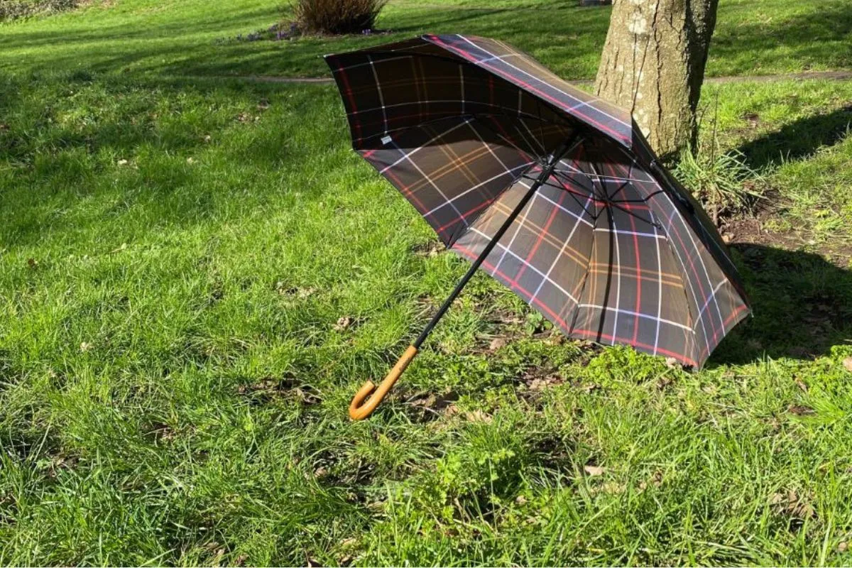 Tartan umbrella on grass