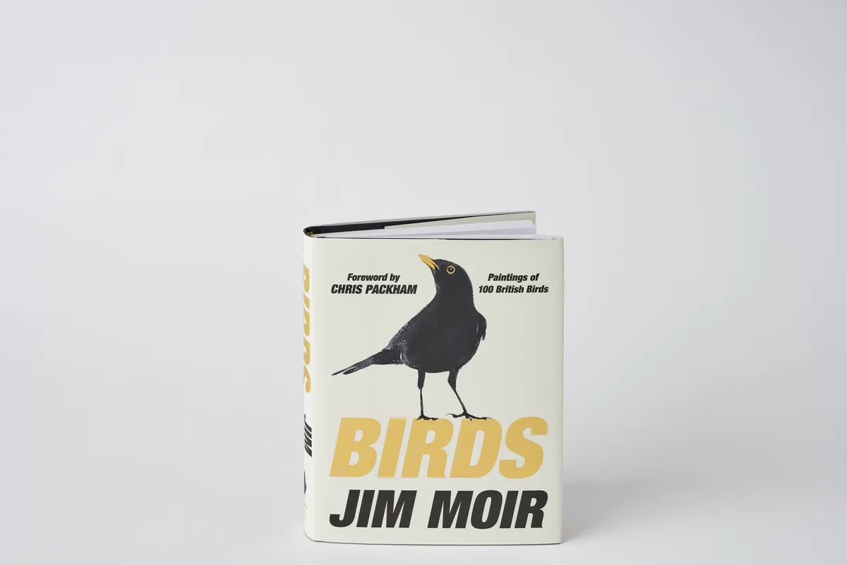 Birds by Jim Moir book with beautiful paintings of birds