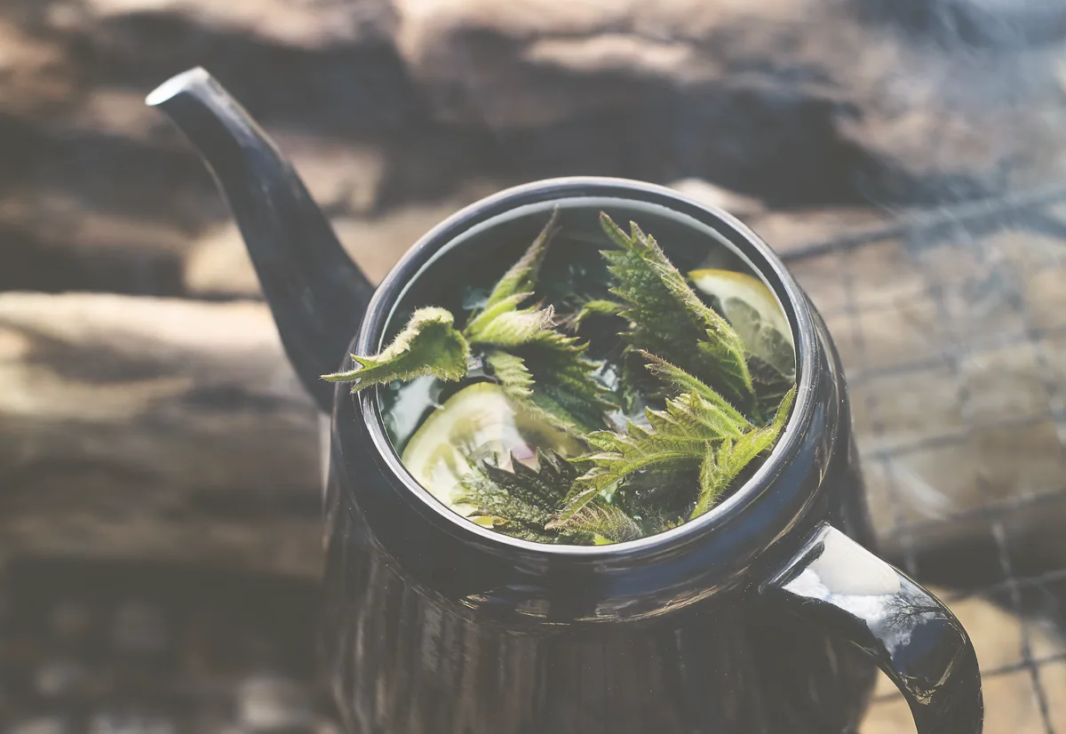 Nrlen Tea Nettle tea - Countryfile.com