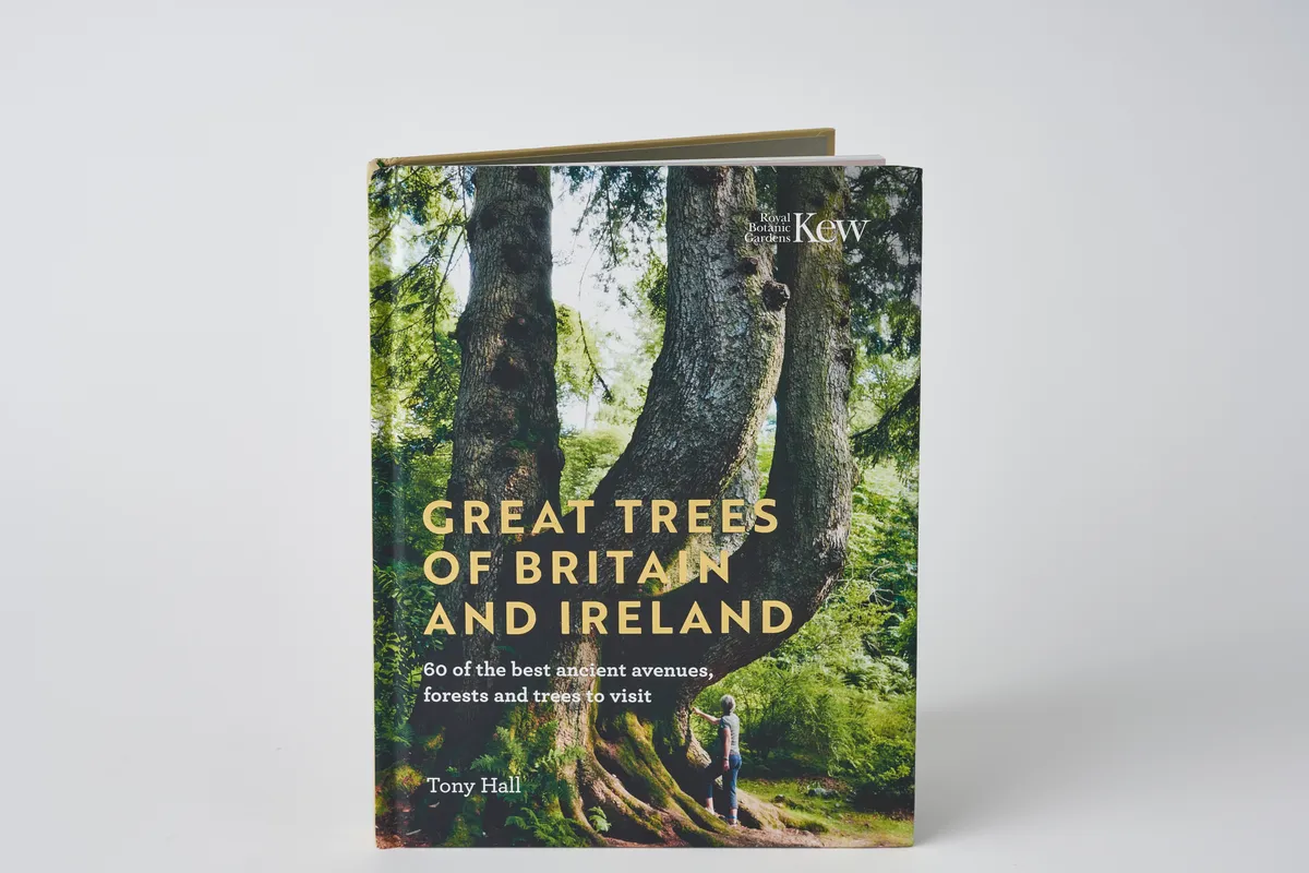 Great Trees of Britain and Ireland by Tony Hall book