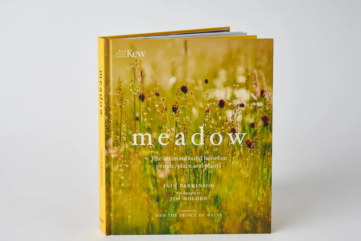 Meadow by Iain Parkinson book on British meadows