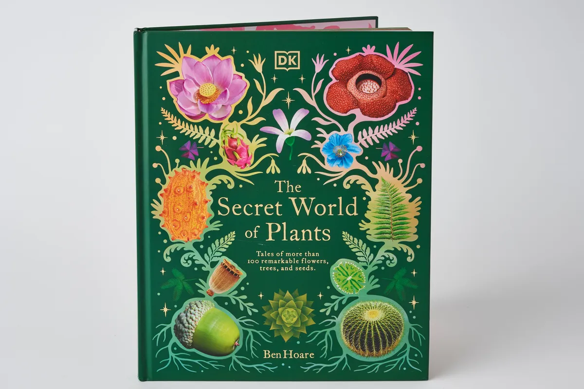 The Secret World of Plants by Ben Hoare colourful fact book for children