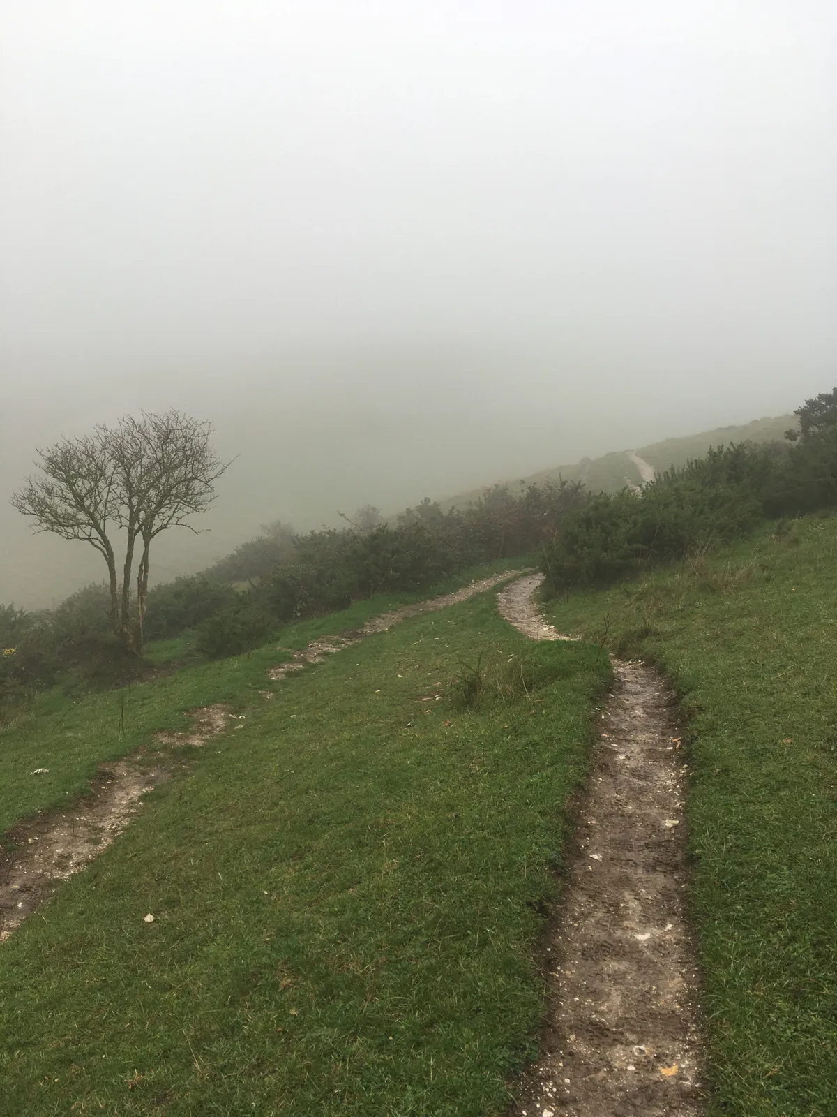 Misty mountain paths