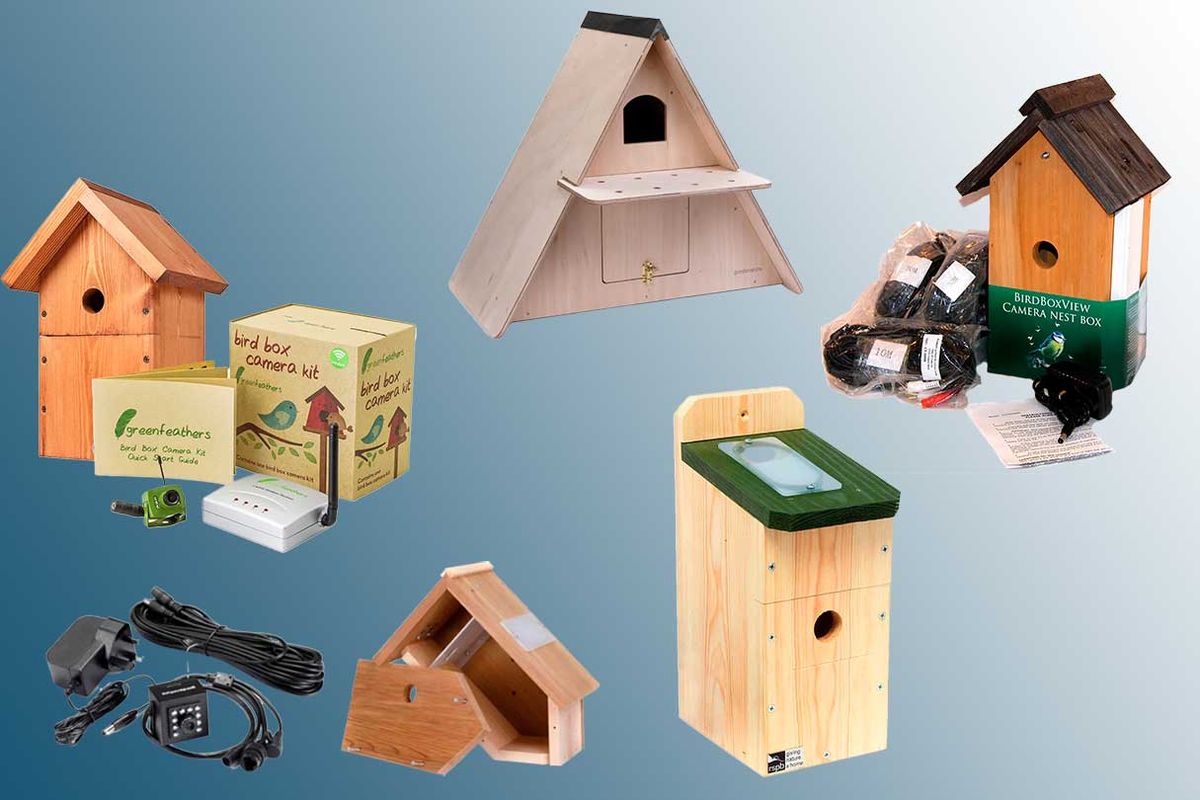 Best bird box cameras for wildlife watching in 2025 | Countryfile.com