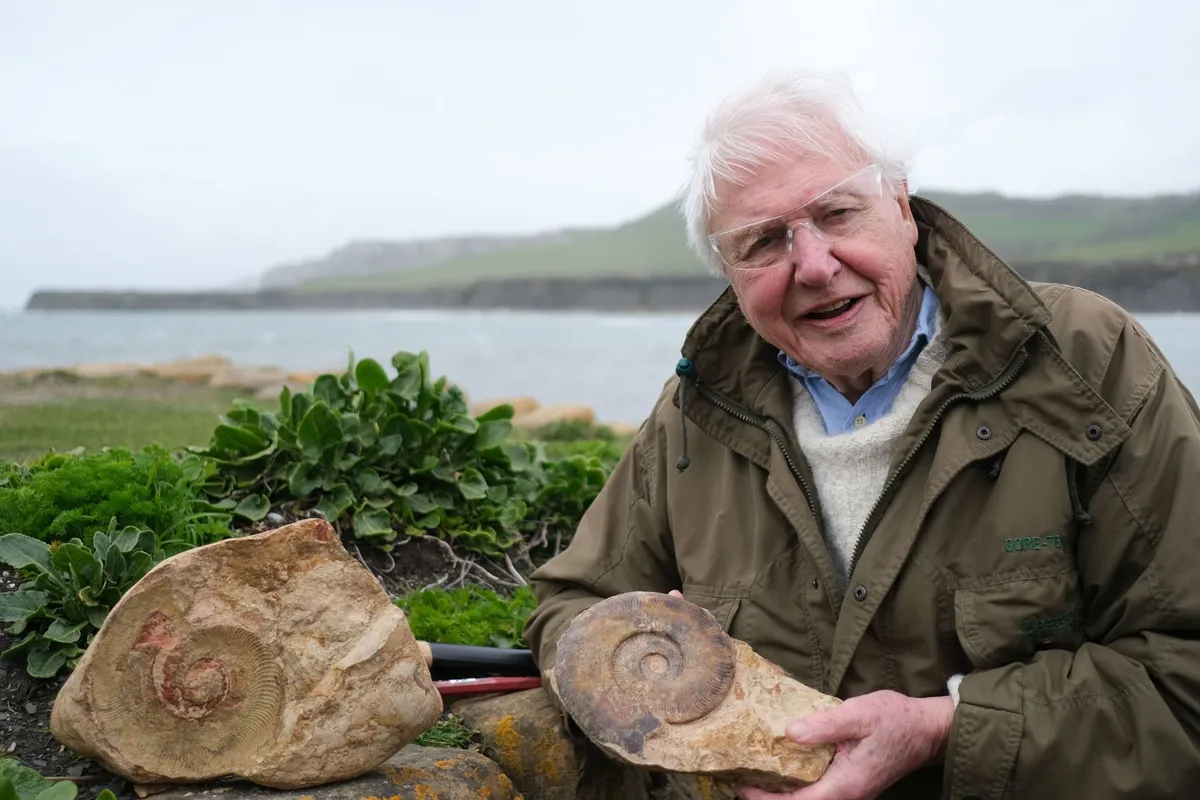 David Attenborough on Dorset coast