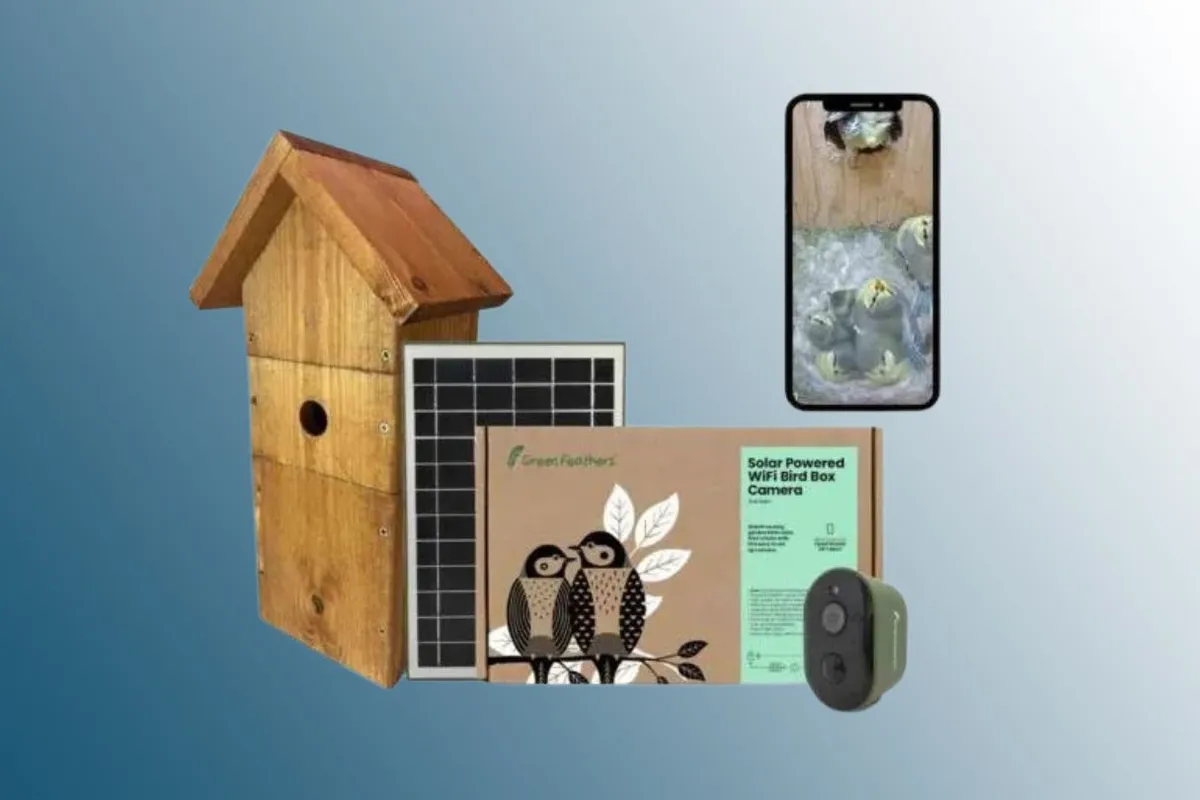 Green Feathers Solar Powered Wifi Bird Box Camera - Deluxe Bundle